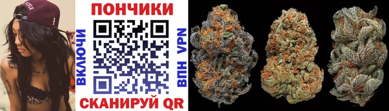 где найти   Нижние Серги  Бошки марихуана планчик 